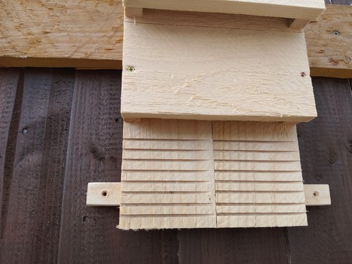 Bat box legno - bat, in